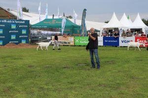 2. Vorsitzender und Züchter Holger Dalhoff moderierte die Rassenpräsentation